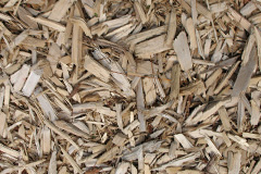 biomass boilers Redmoss