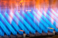 Redmoss gas fired boilers